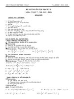 ĐỀ CƯƠNG ôn tập HKII TOÁN 7 (PHÂN DẠNG   2019   2020) 