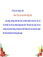 Chính tả Cây và hoa bên lăng Bác Tiếng Việt lớp 2 tuần 31