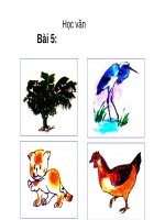 Bài 5 Dấu huyền Dấu ngã Tiếng Việt lớp 2 tuần 1