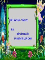 Tập làm văn Đáp lời xin lỗi Tả ngắn về loài chim Tiếng Việt lớp 2 tuần 22