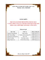 skkn một số giải pháp bồi dưỡng phẩm chất và phát triển năng lực cho học sinh trung học phổ thông qua  môn học giáo dục công dân 