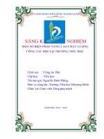 skkn một số BIỆN PHÁP NÂNG CAO CHẤT LƯỢNG CÔNG tác đội tại TRƯỜNG TIỂU học 