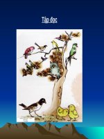 Tập đọc Vè Chim Tiếng Việt lớp 2 tuần 21