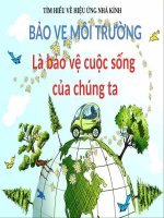 sản phẩm của học sinh  tìm hiểu về hiện tượng hiệu ứng nhà kính 