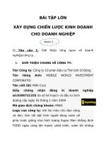BÀI TẬP LỚN XÂY DỰNG CHIẾN LƯỢC KINH DOANH CHO DOANH NGHIỆP