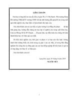 tiểu luận cuối khóa Giải pháp quản lí đội ngũ giáo viên mầm non