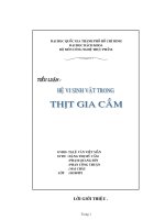 HỆ VI SINH VẬT TRONG THỊT GIA CẦM