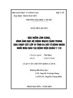 Đặc điểm lâm sàng, hình ảnh học hệ động mạch cảnh trong qua chụp cắt lớp vi tính 64 dãy ở bệnh nhân nhồi máu não tại bệnh viện quân y 110 