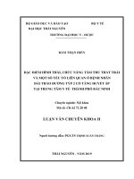 Đặc điểm hình thái, chức năng tâm thu thất trái và một số yếu tố liên quan ở bệnh nhân đái tháo đường týp 2 có tăng huyết áp tại trung tâm y tế thành phố bắc ninh 