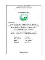 Công tác tìm hiểu thị trường, hỗ trợ đại lý và đánh giá hiệu lực một số loại thuốc điều trị bệnh cho gà do công ty CP thuốc thú y đức hạnh marphavet sản xuất 