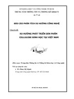 Chuyên đề: XU HƯỚNG PHÁT TRIỂN SẢN PHẨM CELLULOSE SINH HỌC TẠI VIỆT NAM