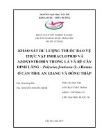 KHẢO SÁT DƢ LƢỢNG THUỐC BẢO VỆ THỰC VẬT IMIDACLOPRID VÀ AZOXYSTROBIN TRONG LÁ VÀ RỄ CÂY ĐINH LĂNG – Polyscias fruticosa (L.) Harms