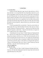 Nâng cao chất lượng nguồn nhân lực tại công ty cổ phần thương mại tổng hợp tỉnh bà rịa – vũng tàu