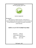 Thực hiện quy trình chăm sóc, nuôi dưỡng và phòng trị bệnh cho lợn nái sinh sản tại trại thanh vân, xã thanh vân, huyện tam dương, tỉnh vĩnh phúc 