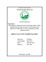 Thực hiện quy trình chăm sóc, nuôi dưỡng, phòng và điều trị bệnh cho lợn thịt nuôi tại công ty cổ phần khai thác khoáng sản thiên thuận tường, thành phố cẩm phả, tỉnh quảng ninh 