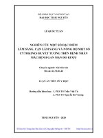 Nghiên cứu một số đặc điểm lâm sàng, cận lâm sàng và nồng độ một số cytokines huyết tương trên bệnh nhân mắc bệnh gan mạn do rượu 