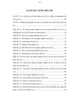 Luận văn thạc sĩ, đề tài dịch vụ công tác xã hội trong hỗ trợ người nghiện ma tuý tại cơ sở điều trị methadone thị xã sơn tây