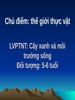 bài giảng điện tử Cây xanh và môi trường sống lớp 5 tuổi