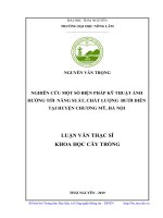 Nghiên cứu một số biện pháp kỹ thuật ảnh hưởng tới năng suất, chất lượng bưởi diễn tại huyện chương mỹ, hà nội 