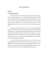 BÁO CÁO TỔNG KẾT  Thiết kế trò chơi học tập cho trẻ mẫu giáo 56 tuổi khám phá khoa học với sự hỗ trợ của phần mềm máy tính