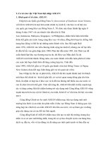 tiểu luận môn đường lối đề tài quá trình việt nam hội nhập ASEAN từ 1995 tới nay  