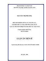 Phân bổ không đúng các nguồn lực, tái phân bổ và tăng trưởng năng suất tại các doanh nghiệp ngành chế tác Việt Nam