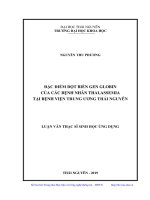 Đặc điểm đột biến gen globin của các bệnh nhân thalassemia tại bệnh viện trung ương thái nguyên 