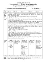 tuan 22 cay xanh va moi truong song