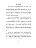 Điều kiện ra đời, đặc điểm, ưu thế của nền sản xuất hàng hóa  ứng dụng và thực tiễn của nền sản xuất hàng hóa ở việt nam