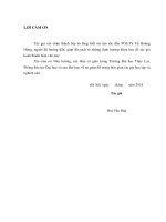 Nghiên cứu cửa van phao chữ nhân có cửa điều tiết phái trên ứng dụng cho các cửa sông ven biển 