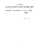 Nghiên cứu bố trí công trình giảm sóng dạng khối rỗng nhằm bảo vệ, tôn tạo bãi đảo nổi thuộc QĐTS 