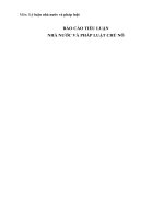 Tiểu luận nhà nước và pháp luật chủ nô