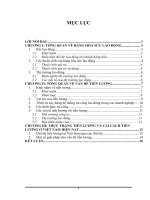 Hàng hóa sức lao động và vấn đề tiền lương, cải cách tiền lương ở việt nam hiện nay