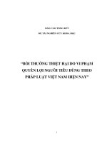 Bồi dưỡng thiệt hại do vi phạm quyền lợi người tiêu dùng theo pháp luật việt nam hiện nay 