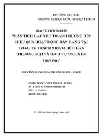 PHÂN TÍCH CÁC YẾU TỐ ẢNH HƯỞNG ĐẾN HIỆU QUẢ HOẠT ĐỘNG BÁN HÀNG TẠI CÔNG TY TRÁCH NHIỆM HỮU HẠN THƯƠNG MẠI VÀ DỊCH VỤ “NGUYỄN TRƯƠNG”