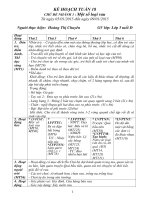 tuần 18 một số loại rau 5 tuổi