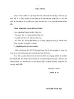 Giải pháp tổng thể tiêu thoát nước nhiêu lộc   thị nghè thành phố hồ chí minh 