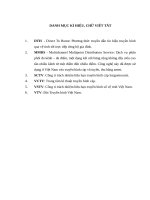 Việt hóa, xử lí các kênh truyền hình nước ngoài phục vụ khán giả truyền hình cáp việt