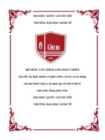 Sự hình thành và phát triển, vai trò và tác động của mô hình công ty đa quốc gia tới nền kinh tế  một nước đang phát triển