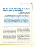Giải pháp thúc đẩy phát triển hợp tác xã gắn với chuỗi giá trị trên địa bàn Tây Nguyên
