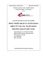 PHÁT TRIỂN DỊCH vụ NGÂN HÀNG điện tử tại các NGÂN HÀNG THƯƠNG mại ở VIỆT NAM 