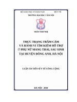 Thực trạng trầm cảm và hành vi tìm kiếm hỗ trợ ở phụ nữ mang thai, sau sinh tại huyện đông anh, hà nội 
