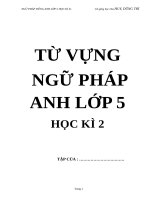 ĐỀ CƯƠNG NGỮ PHÁP TIẾNG ANH LỚP 5 HỌC KÌ 2