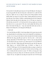 XÂY DỰNG CHỈ SỐ GIÁ NHÀ Ở  NGHIÊN CỨU THỰC NGHIỆM TẠI THÀNH PHỐ HỒ CHÍ MINH