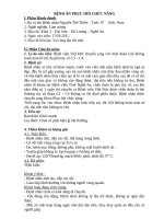 BỆNH án PHỤC hồi CHỨC NĂNG 01 