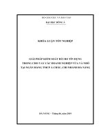 Giải pháp kiểm soát rủi ro tín dụng trong cho vay các doanh nghiệp vừa và nhỏ tại Ngân hàng TMCP Á Châu chi nhánh Đà Nẵng