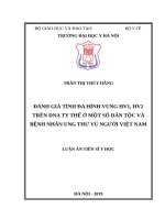 Đánh giá tính đa hình vùng HV1, HV2 trên DNA ty thể ở một số dân tộc và bệnh nhân ung thư vú người việt nam 
