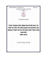 Thực trạng mắc bệnh bụi phổi silic và một số yếu tố liên quan của người lao động ở một số cơ sở sản xuất tỉnh thái nguyên năm 2018 