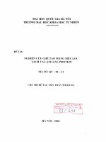 Nghiên cứu chế tạo màng siêu lọc tách và làm giàu protein 