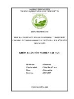 Bước đầu nghiên cứu bảo quản gỗ thông từ dịch chiết cây bông ổi (lantana camara) tại trường đại học nông lâm thái nguyên 